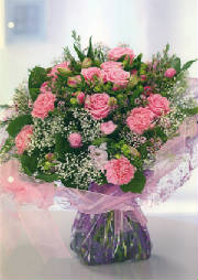 pink roses